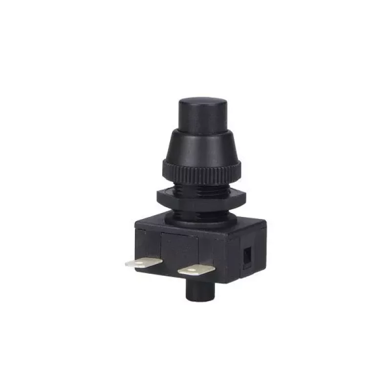 INTERRUPTOR MG PUSHBUTTON 10A 